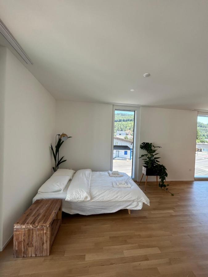 The R Apartment Passwang, Klima, Neu, Balkon, Parking Balsthal 외부 사진
