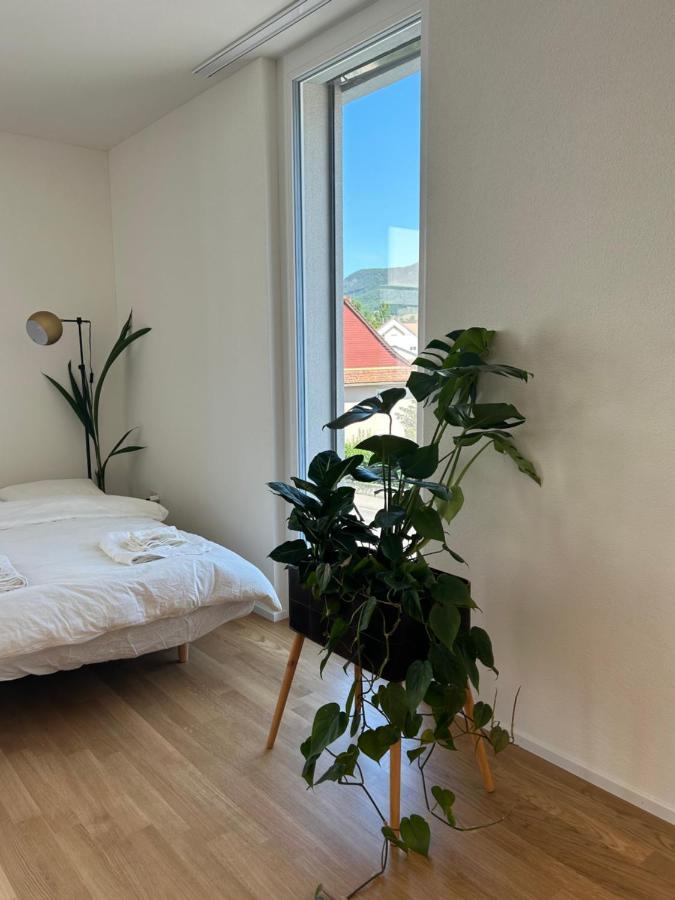 The R Apartment Passwang, Klima, Neu, Balkon, Parking Balsthal 외부 사진