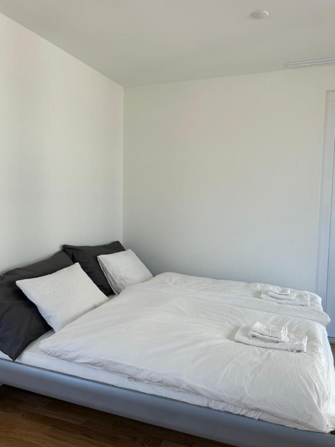 The R Apartment Passwang, Klima, Neu, Balkon, Parking Balsthal 외부 사진